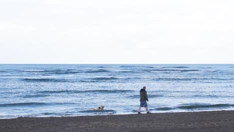 a person walking along the malahide beach with his dog