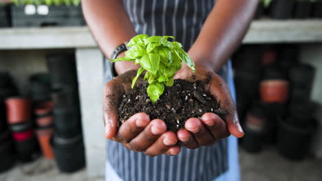 hands holding soil with small plant, nurturing growth in gardening environment, in greenhouse