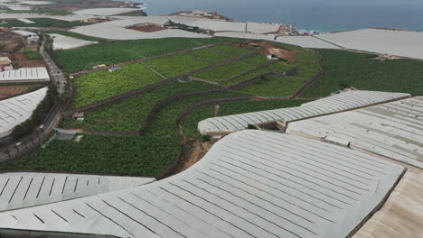 aerial view over large banana plantations and greenhouses near the coast in the north of gran canaria on a sunny day