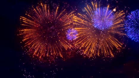 beautiful blue red golden decoration star sky firework display composition seamless loop background for birthday, anniversary, celebration, holiday, new year, party, event and celebrations.