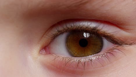 highly detailed macro shot opening, closing brown color pigmentation eyes of little children girl