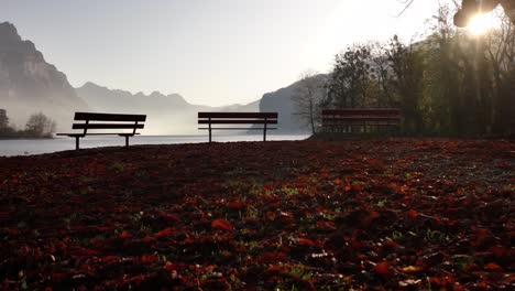 sunlit benches overlooking walensee with autumn leaves in walenstadt, switzerland