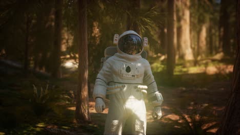 Einsamer-Astronaut-Im-Dunklen-Wald