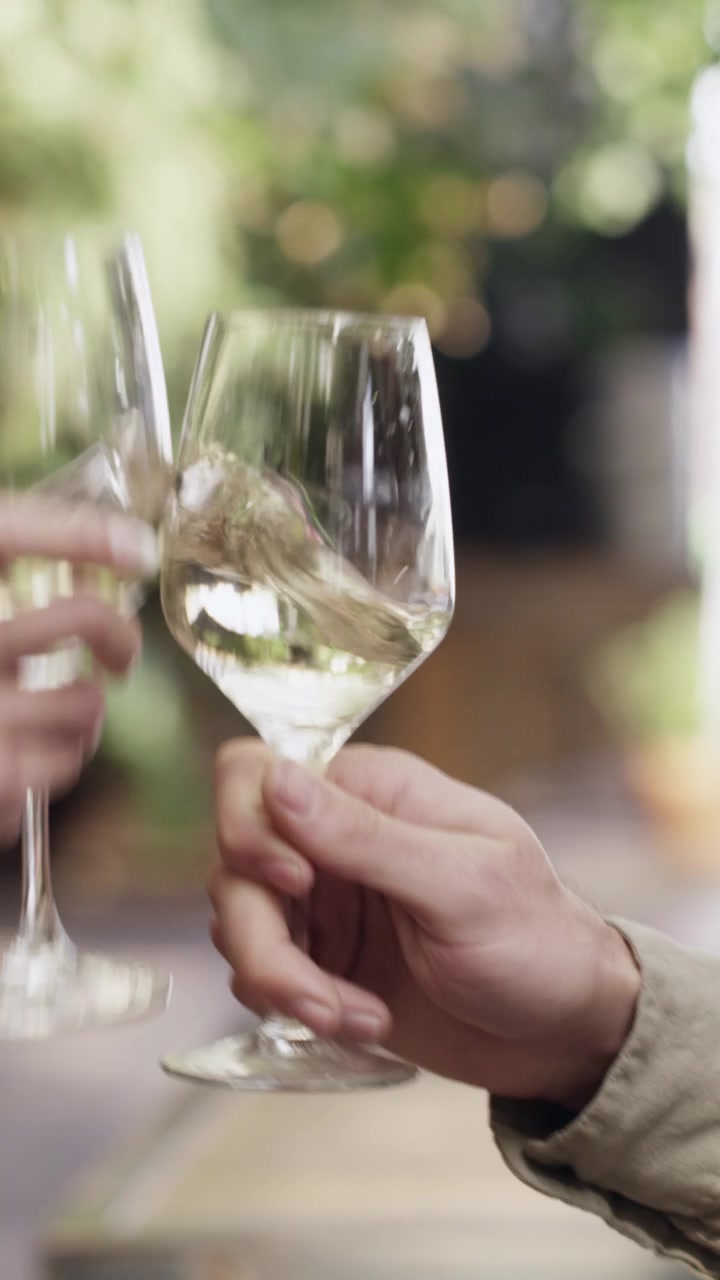 Friends Toasting with Glasses of White Wine Outdoors