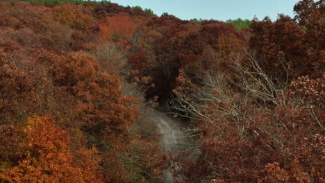 beautiful red trees of autumn in lee creek, arkansas - aerial