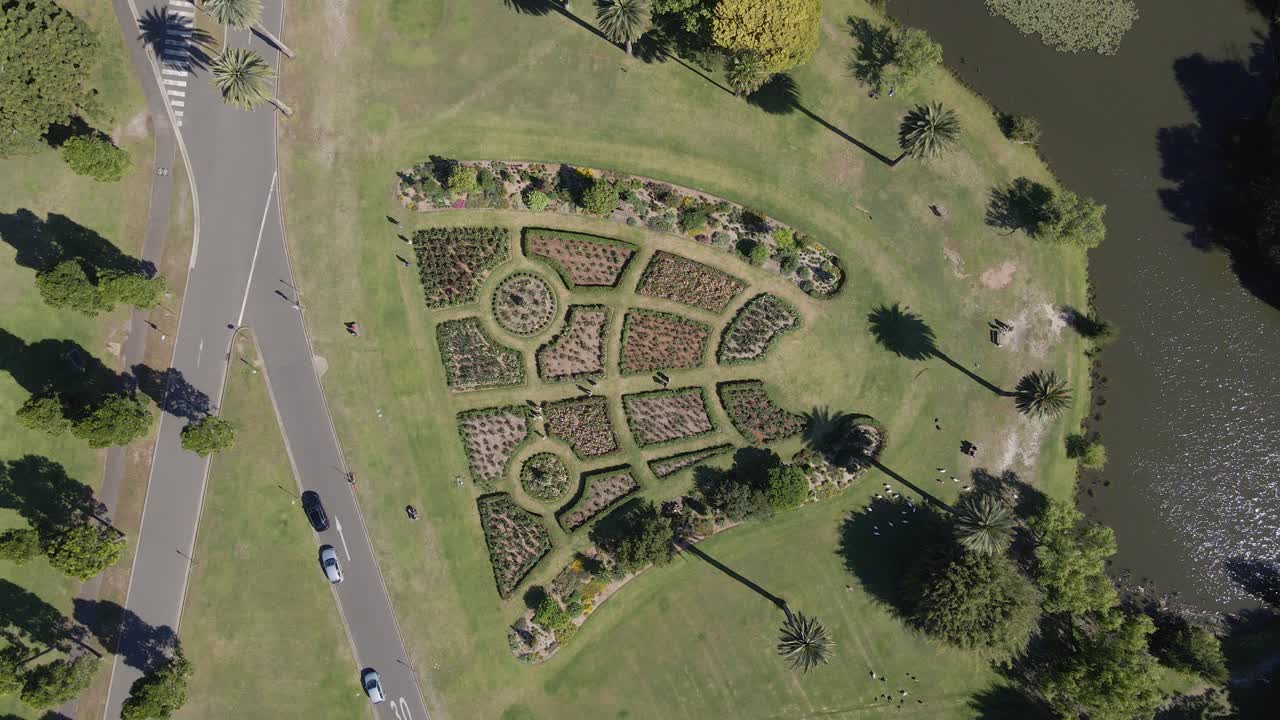 gente en el jardín de rosas en el parque centenario - autos estacionados en dickens drive - nueva gales del sur, australia - drone aéreo, de arriba hacia abajo