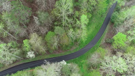 Aerial-view-Gatlinburg-Forest-in-the-Mountains