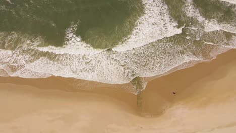 ocean waves gently crushing into an yellow sand beach, drone moving to the right over the line formed by the waves and the beach