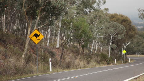 "cuidado con los canguros" señalización de vida silvestre junto a una carretera en australia