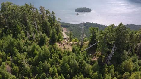 aerial drone looking down of a summit second growth forest - thunder mountain, vancouver island, bc, canada