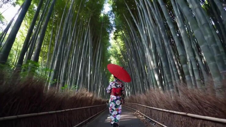 Donna in kimono tradizionale che passeggia nella foresta di bambù di Arashiyama