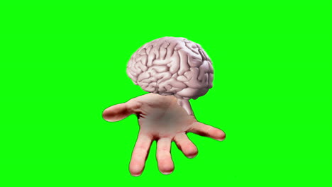 mano que presenta un cerebro giratorio