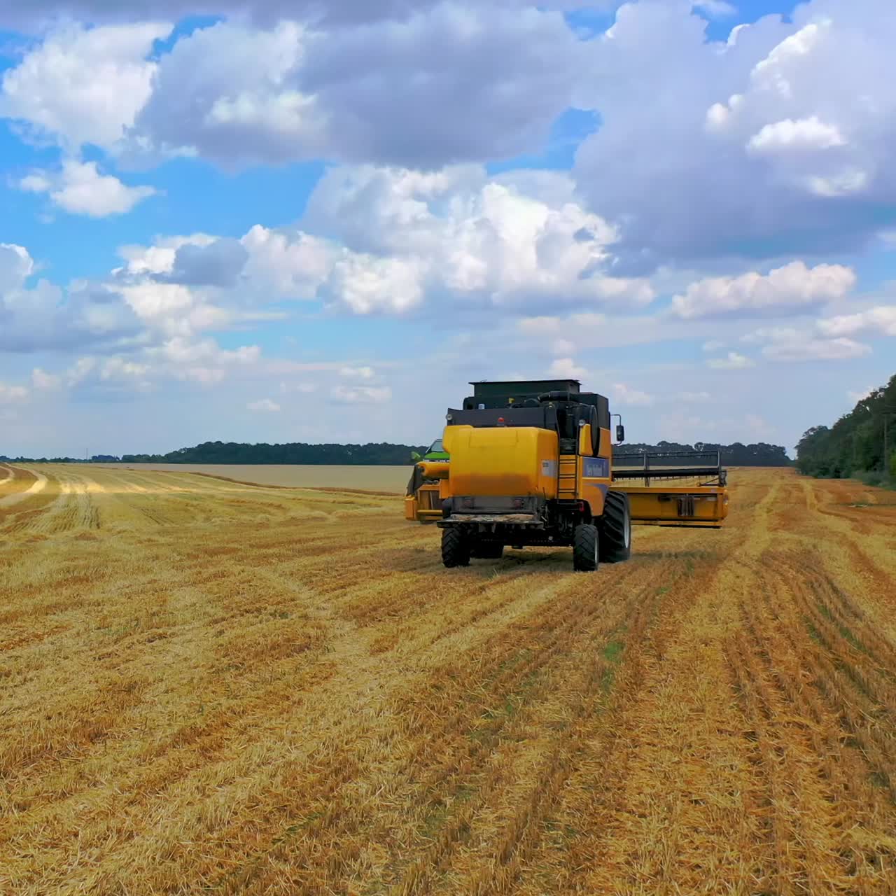 Harvester working on wheat field