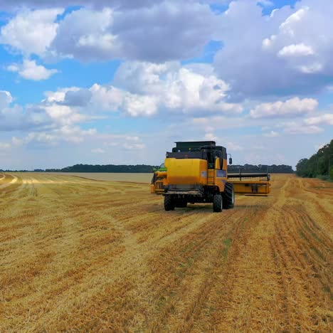harvester working on wheat field