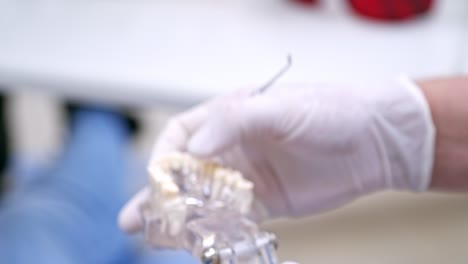 teeth treatment and cure. close up view of doctor holding plastic model of teeth