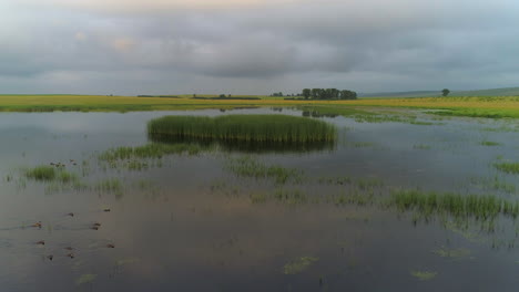 reflexión del atardecer en el lago con patos