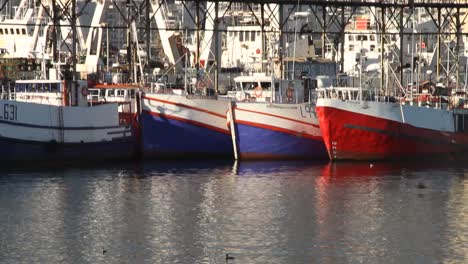 arrastreros en el puerto de ciudad del cabo