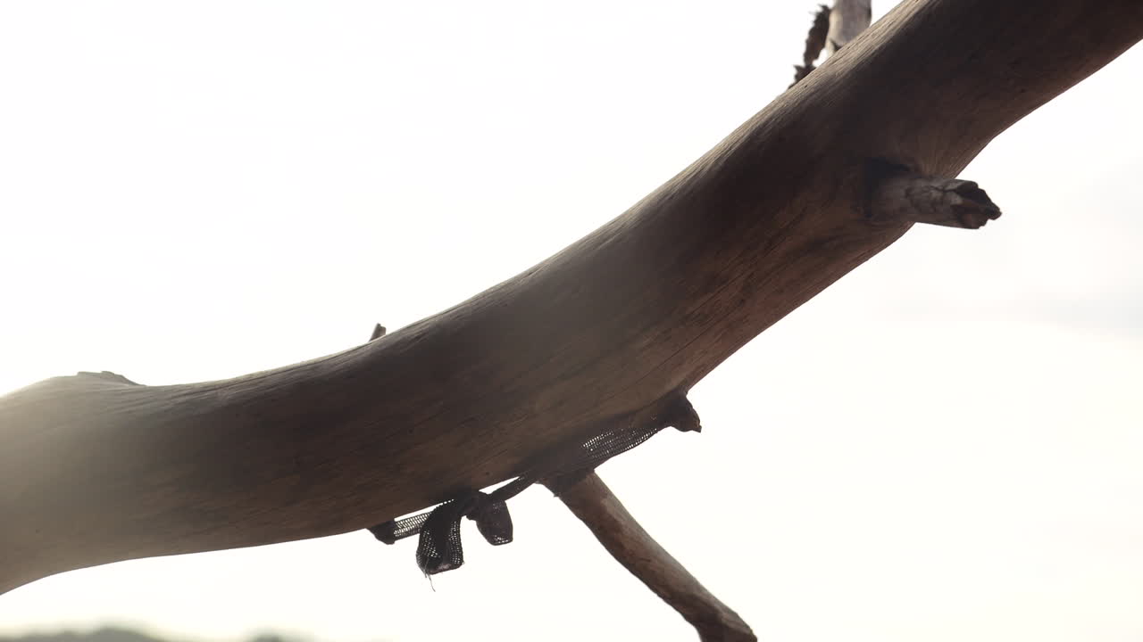 viajando a través de un baúl lleno de amuletos hippies en una cueva en la costa de ibiza, españa