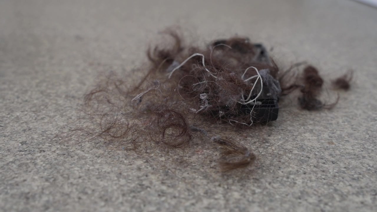 Dirt and hair pile on the floor