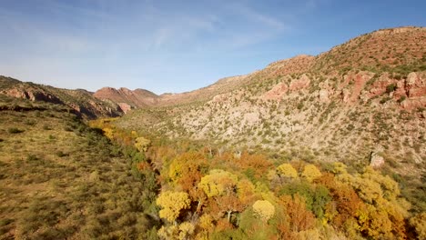 Vuelo-Aéreo-En-El-Follaje-De-Otoño-De-La-Zona-Ribereña-En-La-Base-Del-área-Del-Cañón-Sycamore,-Norte-De-Arizona