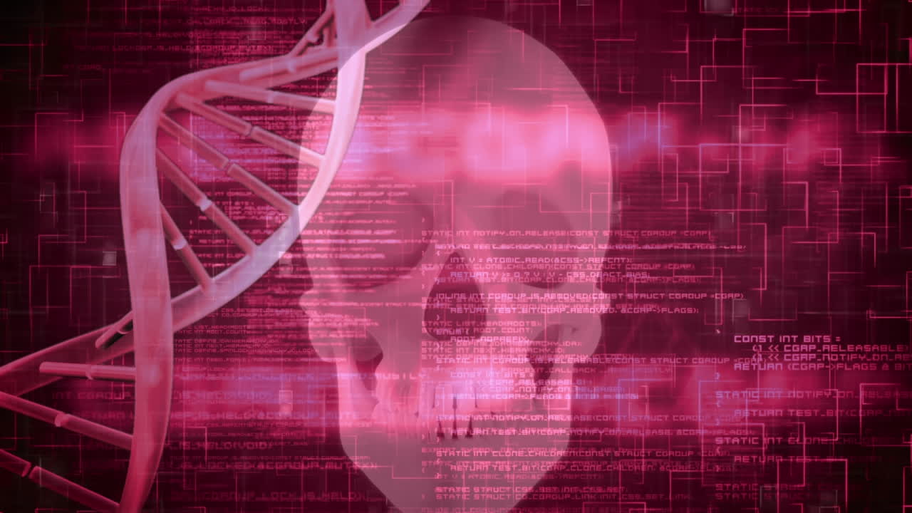3d 분홍색 dna 가닥 회전 및 두개골에 대한 데이터 처리 애니메이션