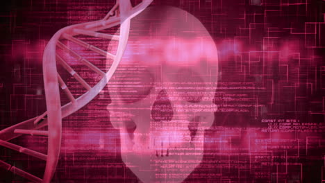 animación de 3d rosa dna hilos de hilado y procesamiento de datos sobre el cráneo