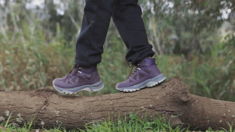 pies, piernas y caminar sobre el tronco