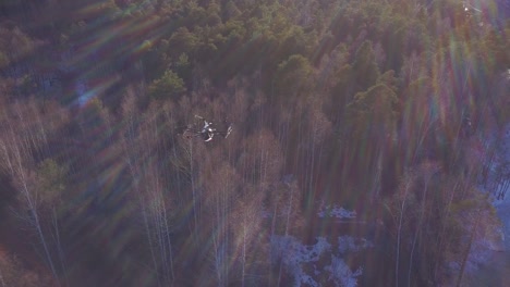 Drone flying over a winter forest