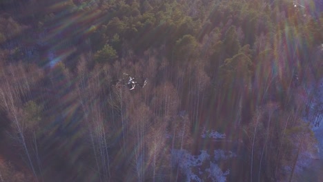 drone flying over a winter forest