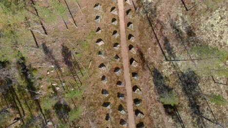 three rows of ww 2 anti-tank barriers