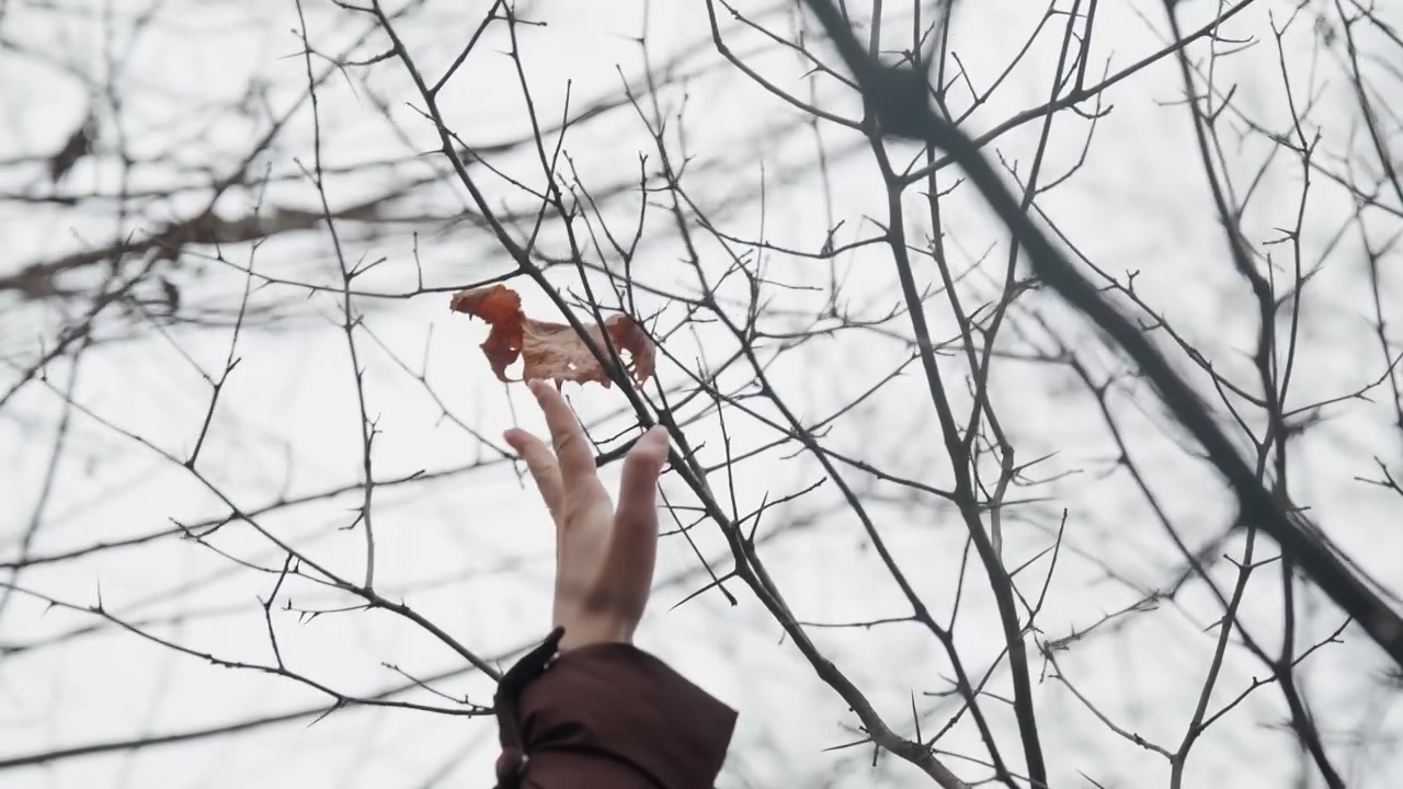 Foglia marrone solitaria sui rami, una mano si protende tra i rami spogli invernali, cielo coperto e silenzioso, toni tenui, delicati accenni di brina, movimento lento e contemplativo che trasmette solitudine e desiderio.