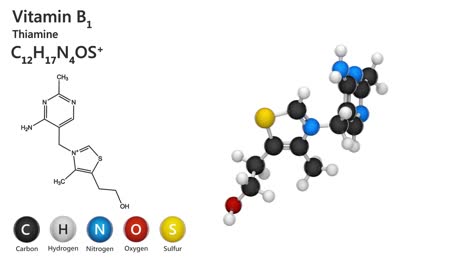 vitamin b1(thiamine or aneurine). seamless loop.