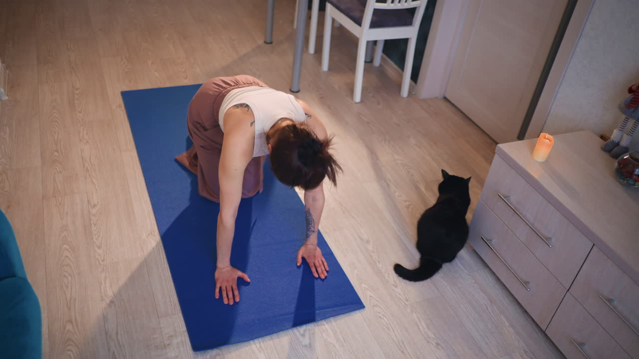 Woman Practicing On Mat Evening, Indoor Scene Of Woman Stretching With Feline Companion During Dusk, Calm Home Environment With Woman Performing Hamstring Stretch Next To Resting Black Cat