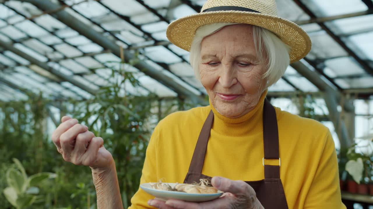 Senior Woman Inspecting Bulbs in Greenhouse