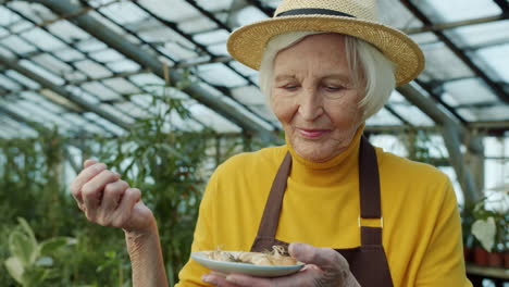 senior woman inspecting bulbs in greenhouse