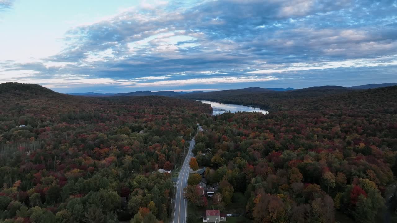 árboles de otoño con carretera de asfalto y lago en el fondo