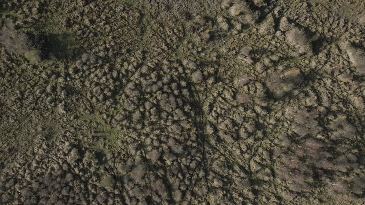 vista panorámica aérea de arriba otoño patrón textura reserva natural matorral