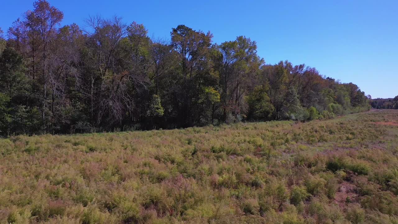 zumbando un campo en georgia en un día soleado de otoño