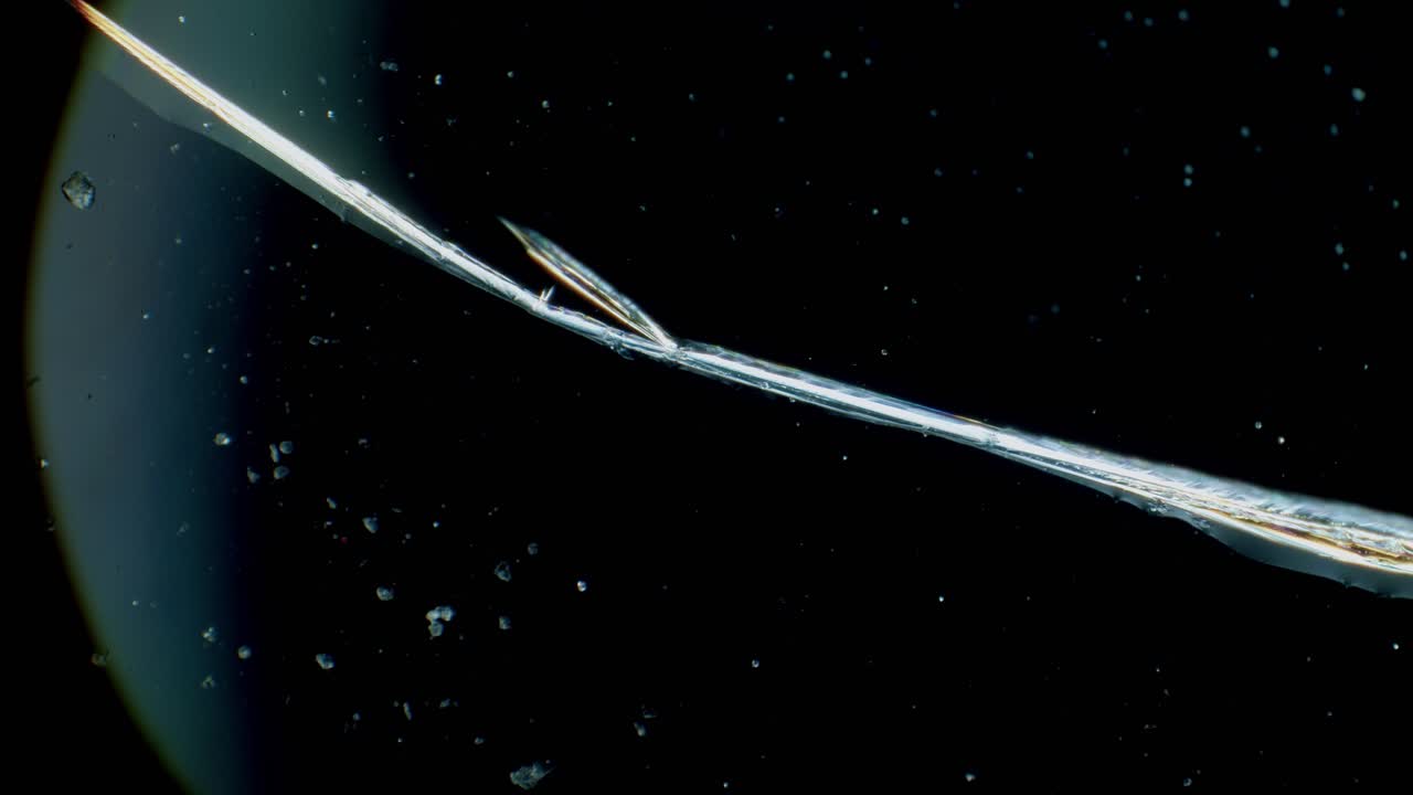 Copper sulphate crystals growing under microscope in polarized light