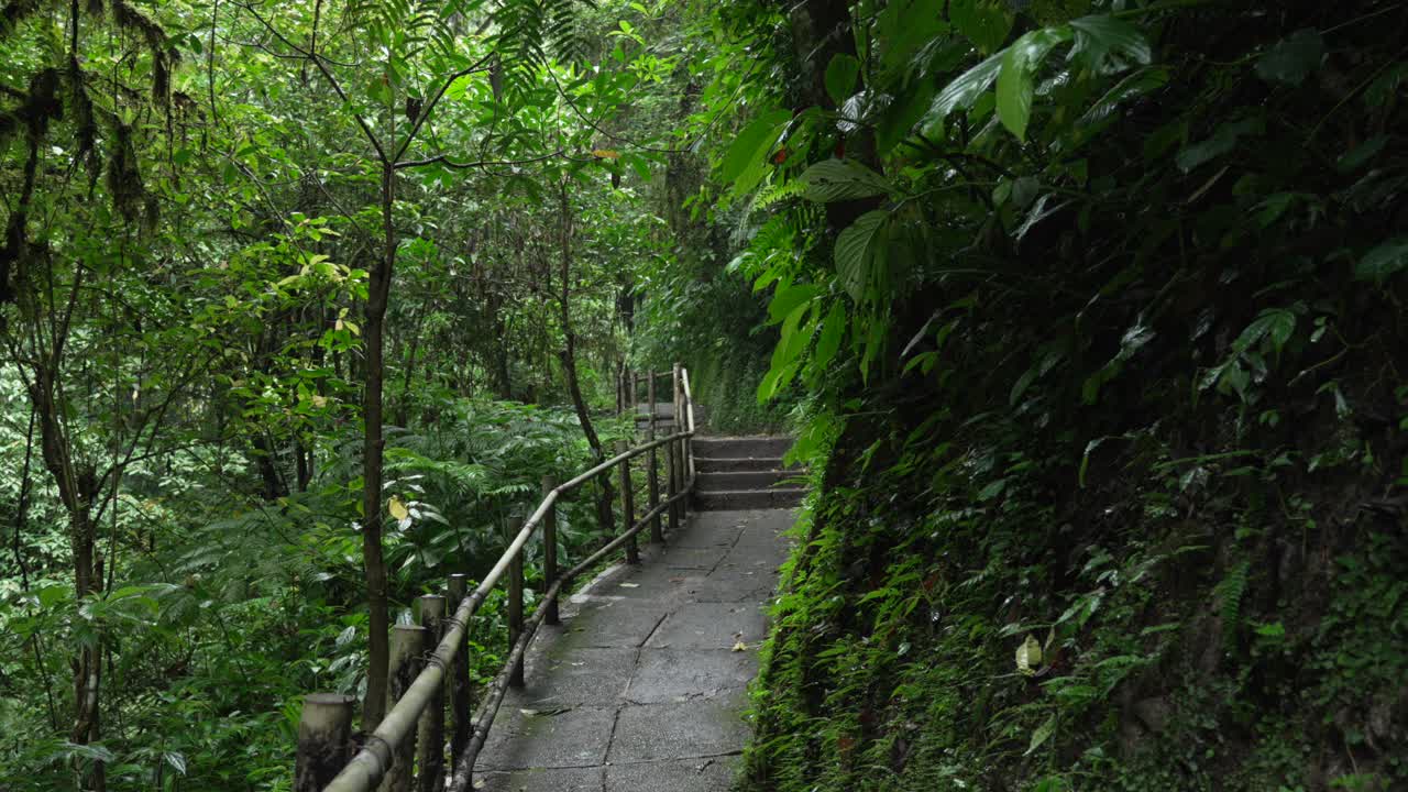 Bali island tropical jungle trek hike paved path inside rainforest to nungnung waterfall
