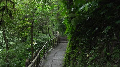 bali island tropical jungle trek hike paved path inside rainforest to nungnung waterfall