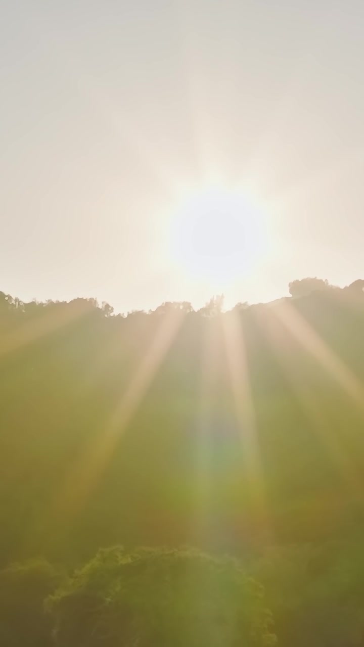 Nascer do sol sobre vinhedos no Vale do Napa, Califórnia, EUA