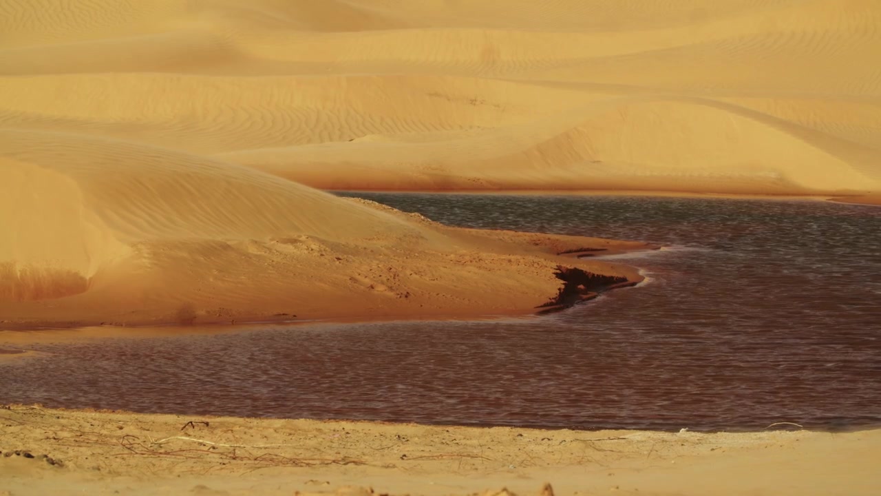 Kleiner Wüstensee oder Wasserquelle, umgeben von hohen Sanddünen in der tunesischen Sahara. Seltenes Wüstenökosystem und natürlicher Wasserteich in der trockenen Region Grand Erg Oriental.