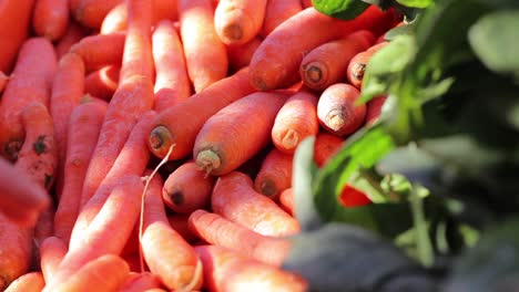 shopping vegetable in greengrocer 2
