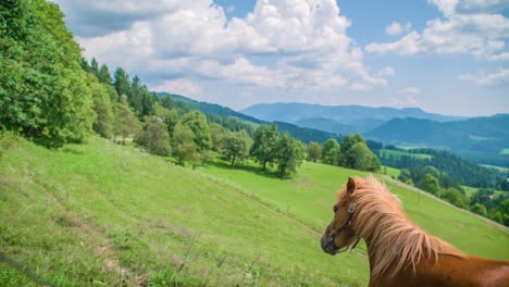 Cinematic-shot-of-a-brown-horse-looking-at-the-camera-on-a-beautiful-green-hill