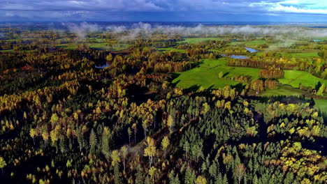 Finas-Nubes-De-Niebla-Sobre-El-Pintoresco-Bosque-De-Otoño-Cerca