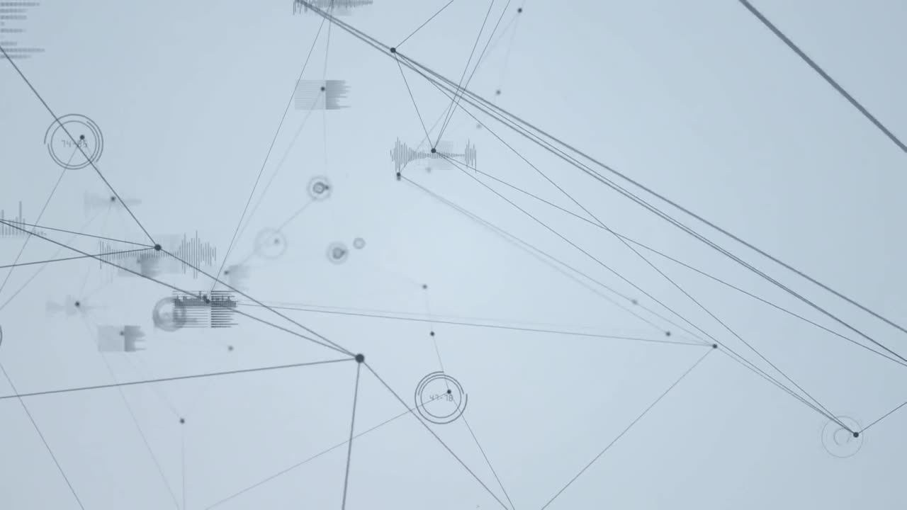 Animation of network of connections over data processing