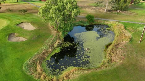 aerial view of a decorative pond at a well maintained golf course