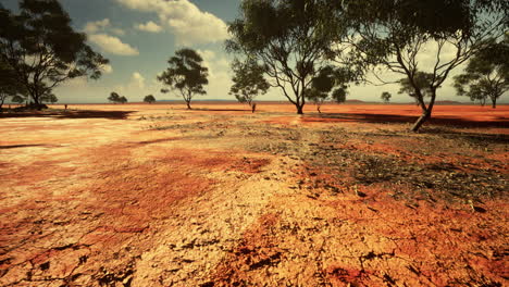 arena agrietada en el verano con el sol