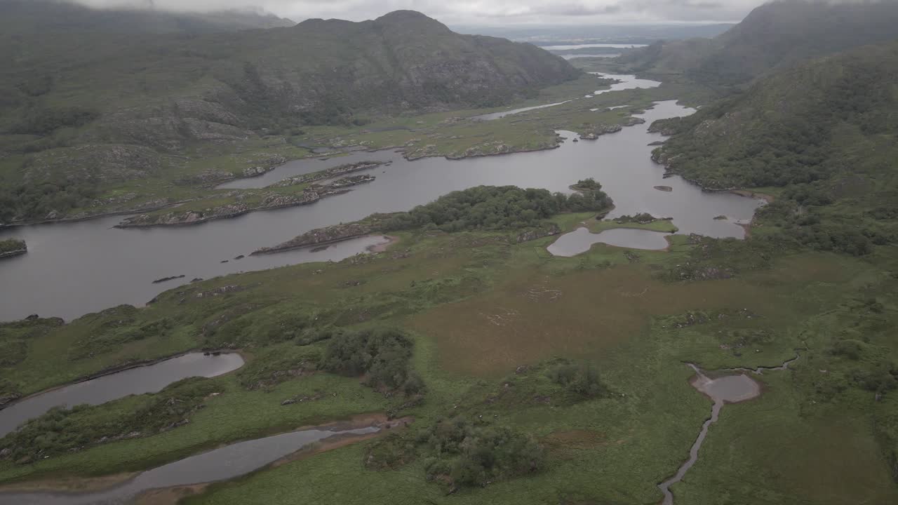 vegetação magnífica de senhoras vista campo de killarney irlanda